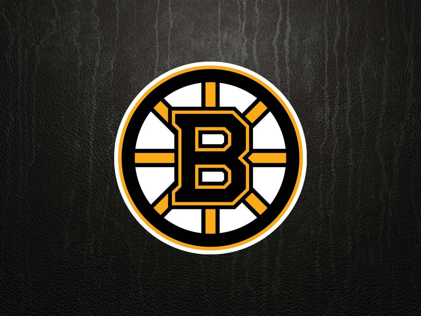 Boston Bruins
