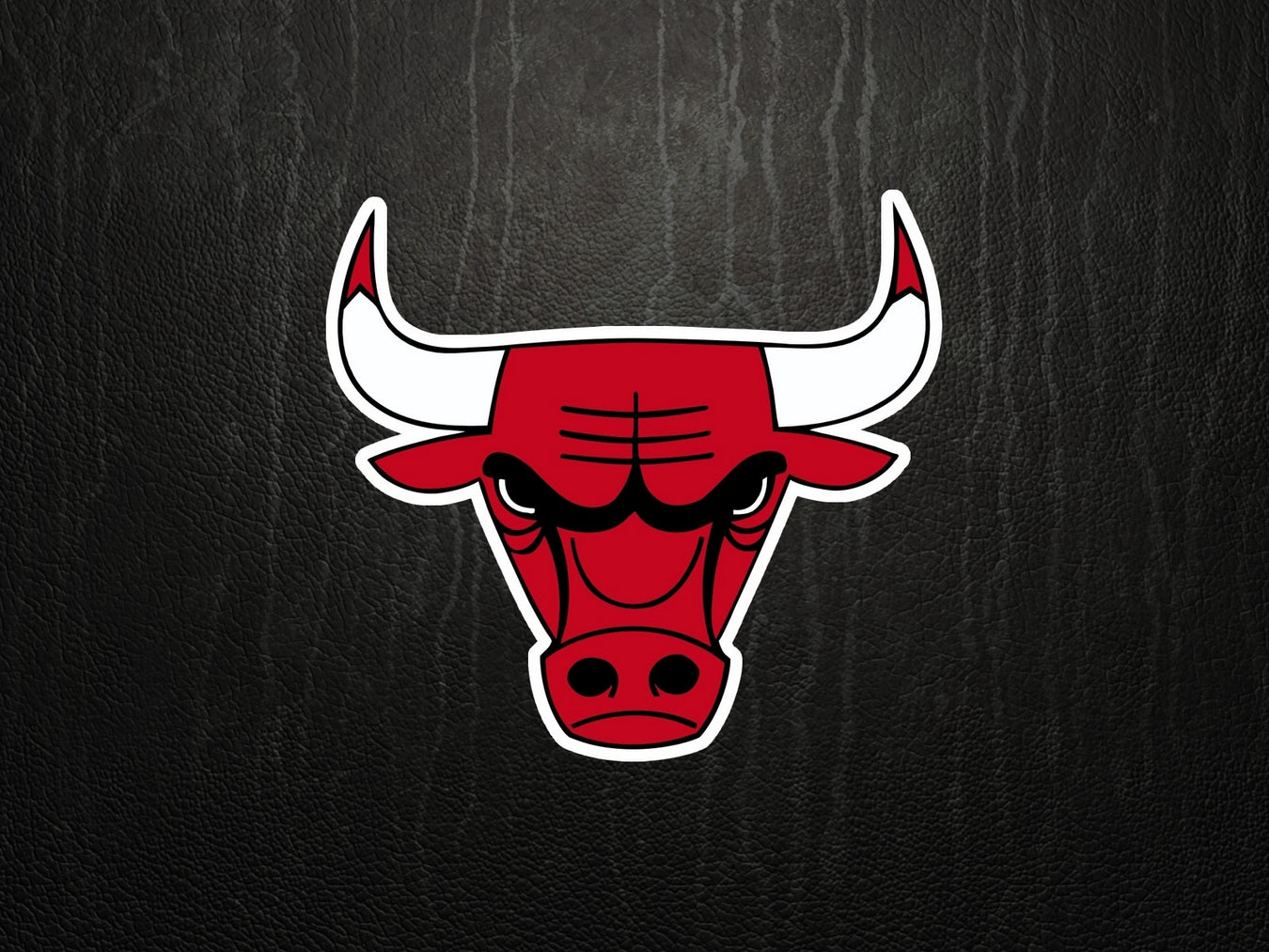 Chicago Bulls