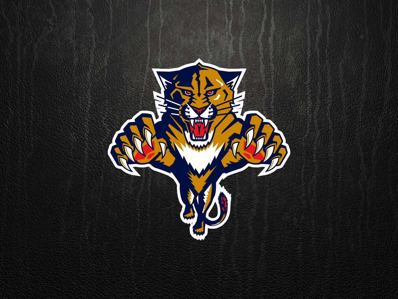 Florida Panthers