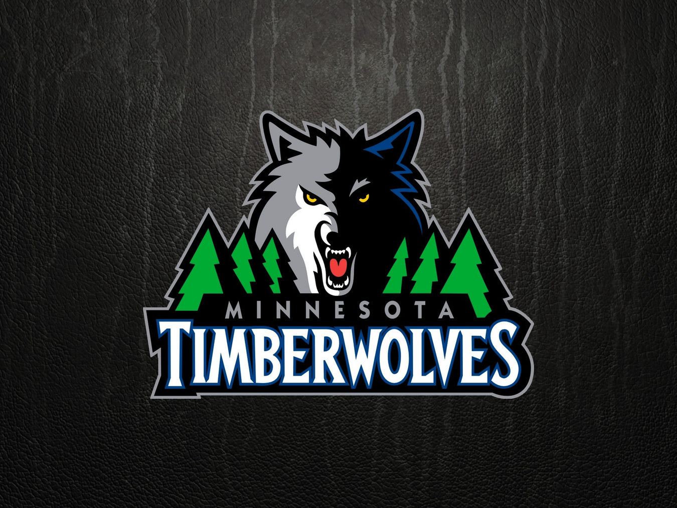 Minnesota Timberwolves