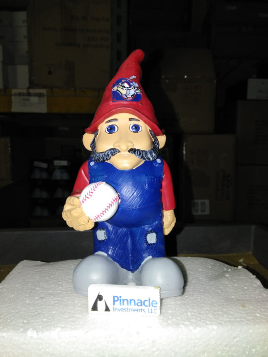  Auburn Doubledays Sponsored by Gnome Pinnacle Investments Gnome MiLB