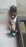 MCGRIFF #29 BROWN BOX Bobblehead