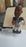 JERRY RICE #80 RAIDERS BROWN BOX Bobblehead