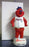 Splash the Mascot Bobblehead - BobblesGalore